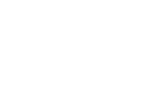 Next Games logo